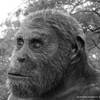 Homo rudolfensis