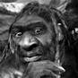 Homo heidelbergensis