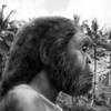 Homo erectus