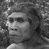 Homo ergaster