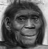 Homo floresiensis